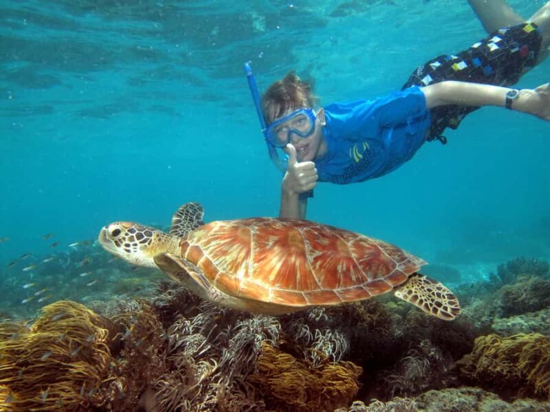 Cairns: Ocean Spirit Great Barrier Reef Full Day Tour - Lunch, Refreshments, and Relaxation