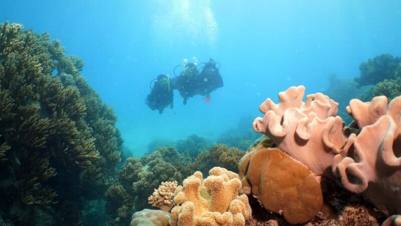 Cairns: Ocean Spirit Great Barrier Reef Full Day Tour - FAQ