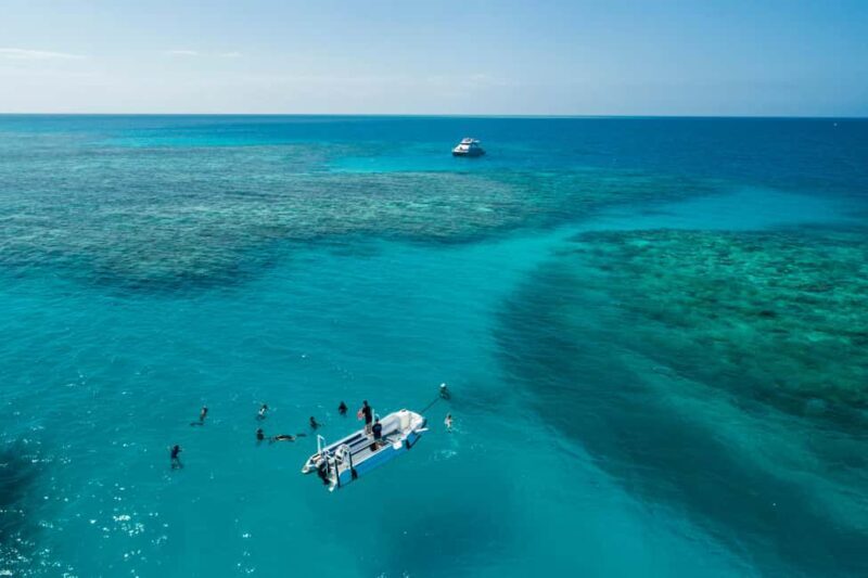 Cairns: Outer and Coral Cay Snorkel and Dive Cruise - Upolu Cay: The Ocean’s “Aquarium”