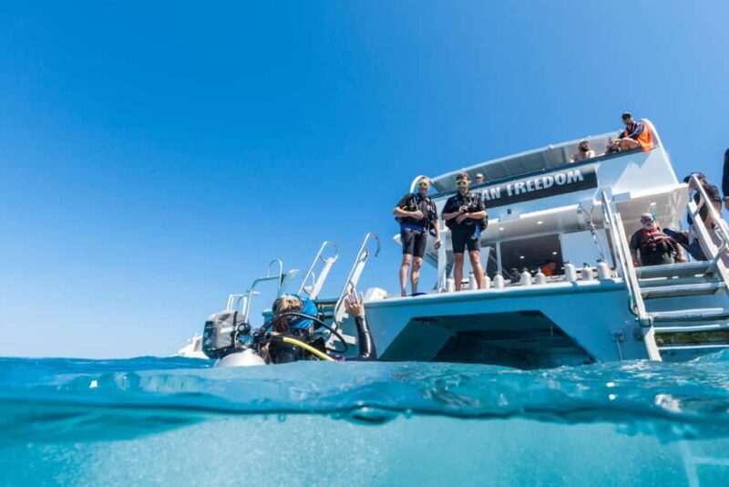 Cairns: Outer and Coral Cay Snorkel and Dive Cruise - The Food: Gourmet in the Middle of the Ocean