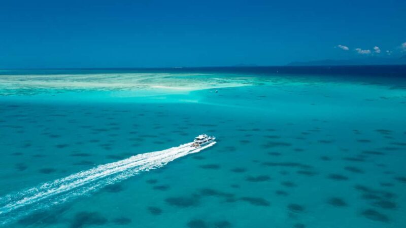 Cairns: Outer and Coral Cay Snorkel and Dive Cruise - The Return Journey and Additional Perks