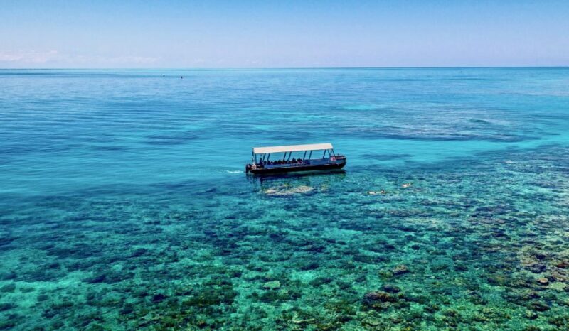 Cairns: Outer and Coral Cay Snorkel and Dive Cruise - Practical Details to Keep in Mind