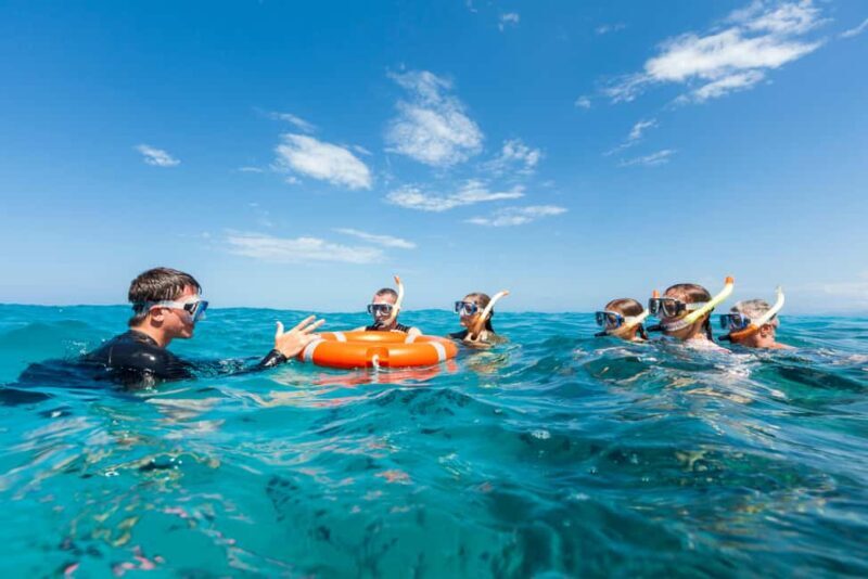 Cairns: Outer and Coral Cay Snorkel and Dive Cruise - The Experience’s Strengths and What to Expect