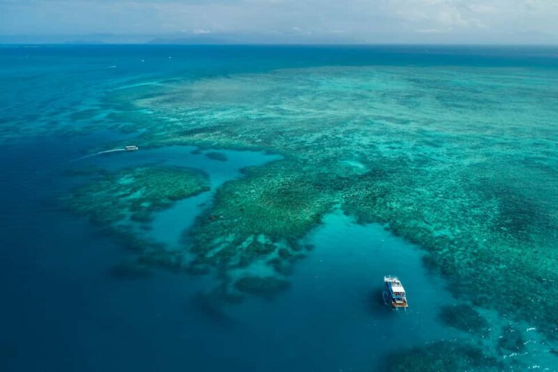 Cairns: Outer and Coral Cay Snorkel and Dive Cruise - Who Will Love This Tour
