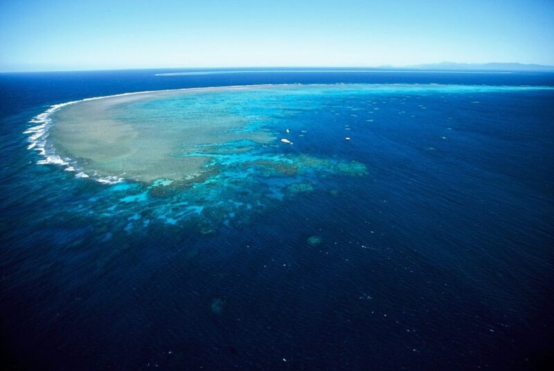 Cairns: Outer Great Barrier Reef Full-Day Tour with Lunch - Reef Stop 2: Exploring the Second Location