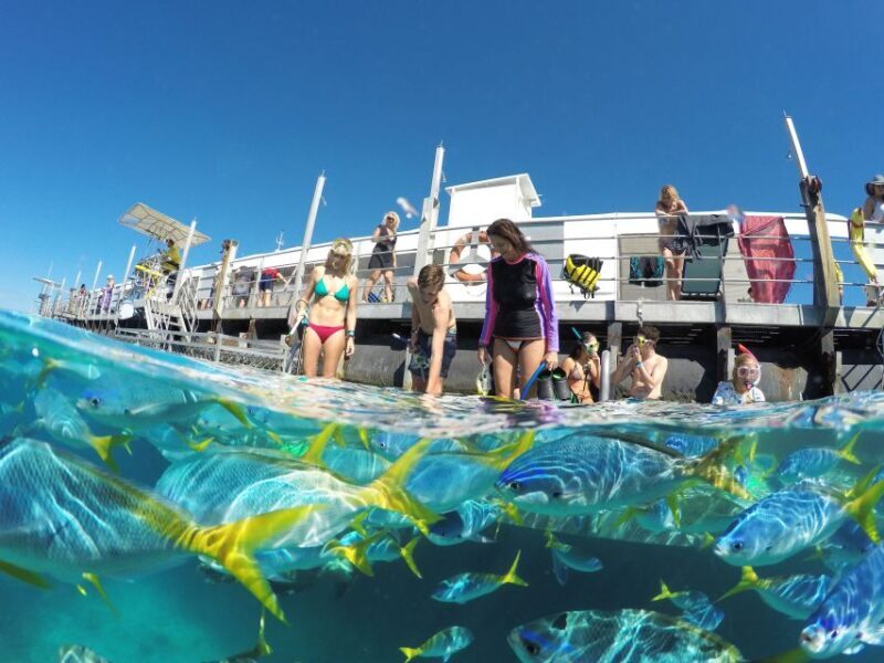 Cairns: Outer Great Barrier Reef Pontoon with Activities - FAQs