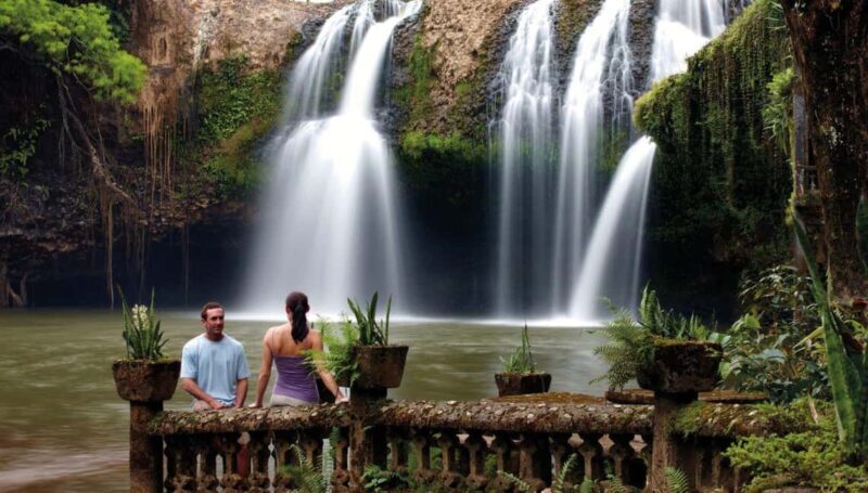 Cairns: Paronella Park Rainforest Full-Day Tour with Dinner - Returning to Cairns