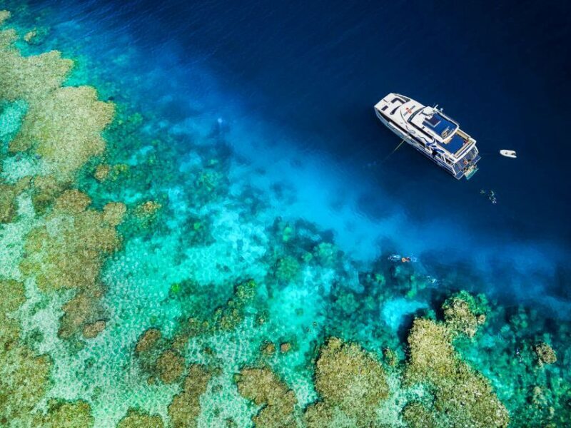 Cairns: Premium Snorkelling and Diving Reef Day Trip - The second reef stop: more exploration