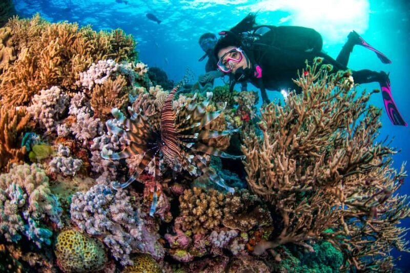 Cairns: Pro Dive 5 Day Learn to Dive Great Barrier Reef - FAQs