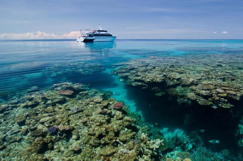 Cairns: Pro Dive Great Barrier Reef 3 Day/2 Night Dive Trip - Key Points