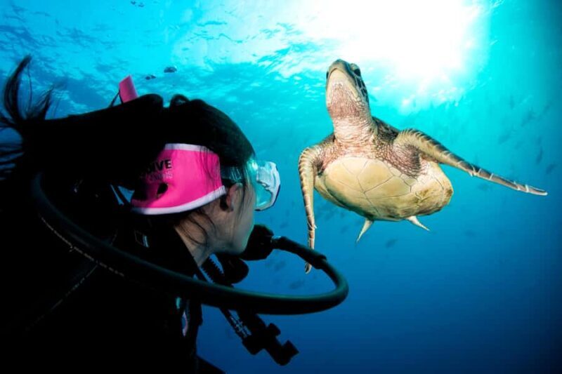 Cairns: Pro Dive Great Barrier Reef 3 Day/2 Night Dive Trip - Who Will Love This Tour?