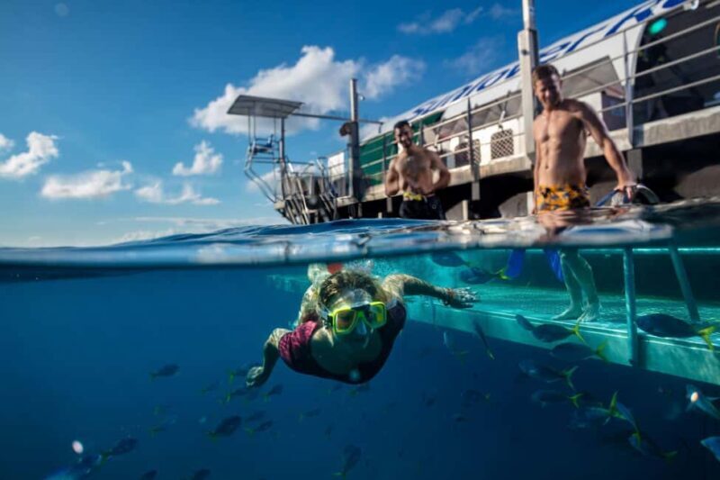 Cairns: Reef Zoom Half Day Helicopter & Snorkeling Tour - Key Points