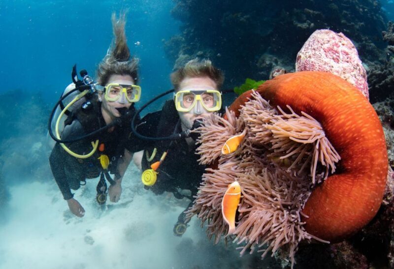 Cairns: Silverswift 3 Great Barrier Reef Sites in 1 Day - Introduction