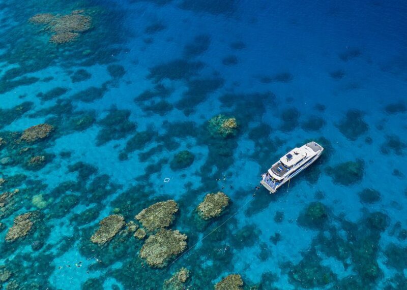 Cairns: Silverswift 3 Great Barrier Reef Sites in 1 Day - Key Points