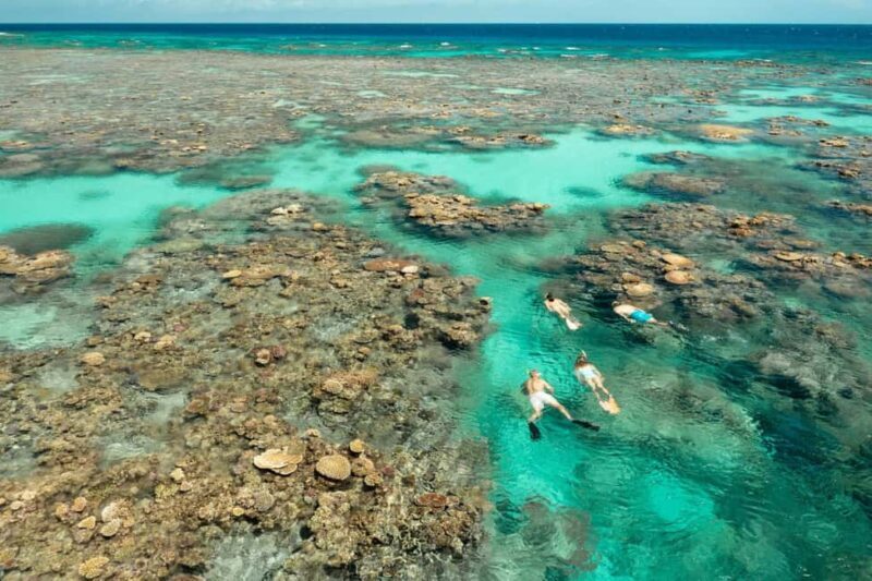 Cairns: Silverswift 3 Great Barrier Reef Sites in 1 Day - Final Thoughts