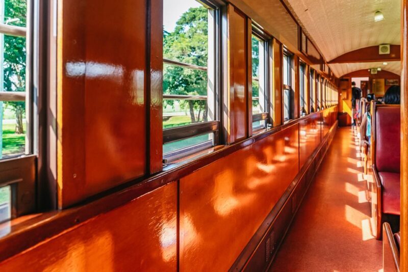 Cairns: Skyrail, Kuranda, and Rail Tour with Hotel Transfers - The Itinerary: What to Expect on Your Day in the Rainforest