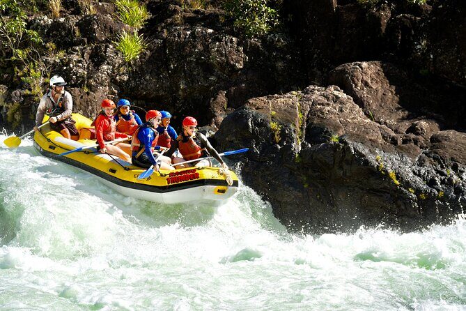 Cairns: Small Group | Outer Reef Snorkel & Dunk Island - Who Would Love This Tour?