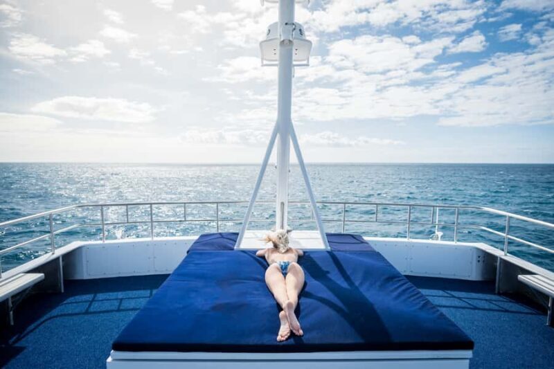 Cairns: Snorkelling and Diving Reef Day Trip - Final Thoughts