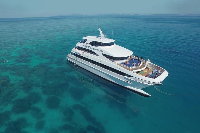 Cairns Super Saver: Reef Cruise, Daintree & Kuranda Rail/Skyrail - Experience Breakdown & What to Expect