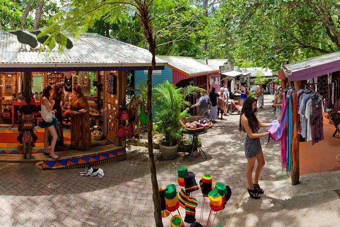 Cairns Super Saver: Reef Cruise, Daintree & Kuranda Rail/Skyrail - The Sum Up