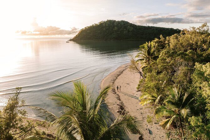 Cairns to Daintree Cape Tribulation 3 Day Tour via Port Douglas - Key Points