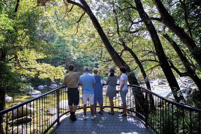 Cairns to Daintree Cape Tribulation 3 Day Tour via Port Douglas - The Sum Up: Why Consider This Tour?