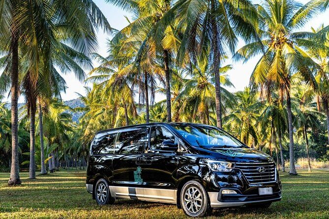 Cairns to Daintree Eco Lodge ONE WAY Private Transfer 6 pax - An In-Depth Look at the Cairns to Daintree Eco Lodge Private Transfer
