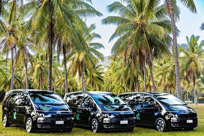 Cairns to Port Douglas ONE WAY Private Transfer 6 pax - Who Should Consider This Transfer