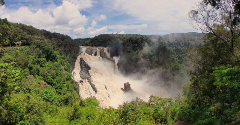 Cairns: Waterfall, Wetlands and Skyrail - Key Points