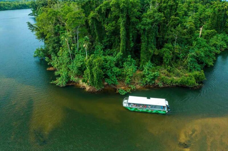 Cairns: Wildlife Habitat, Mossman Gorge, and Daintree Tour - Key Points