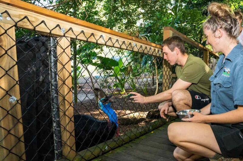 Cairns: Wildlife Habitat, Mossman Gorge, and Daintree Tour - An In-Depth Look at the Tour Itinerary