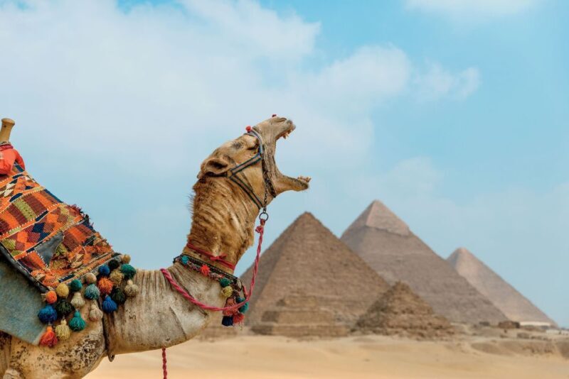 Cairo: 12-Day Egypt Highlights Private Tour w/ Accommodation - Who Is This Tour Best For?