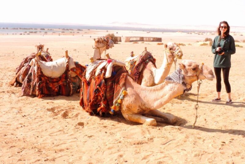 Cairo: 2-Day White Desert, Bahariya Oasis & El-Fayoum Tour - Scenic drives and cultural insights