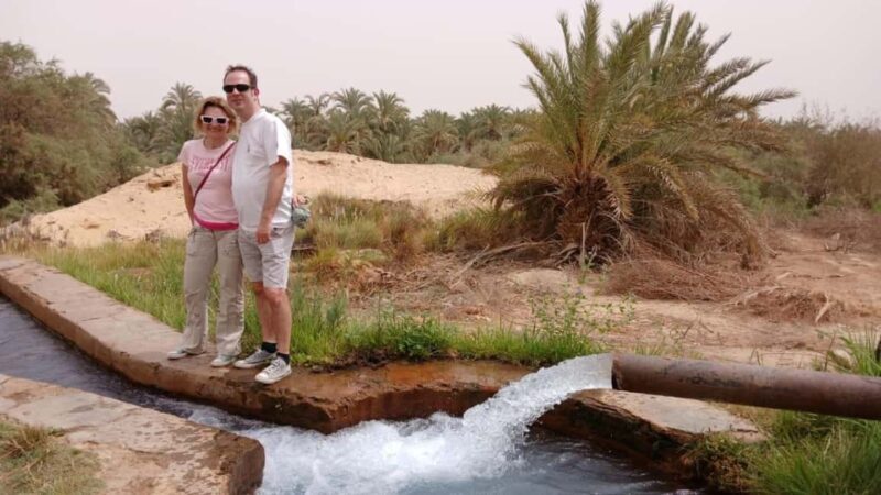 Cairo: 3-Day Private Siwa, El-Alamein & Safari Adventure. - Exploring the Western Desert: A Complete Breakdown