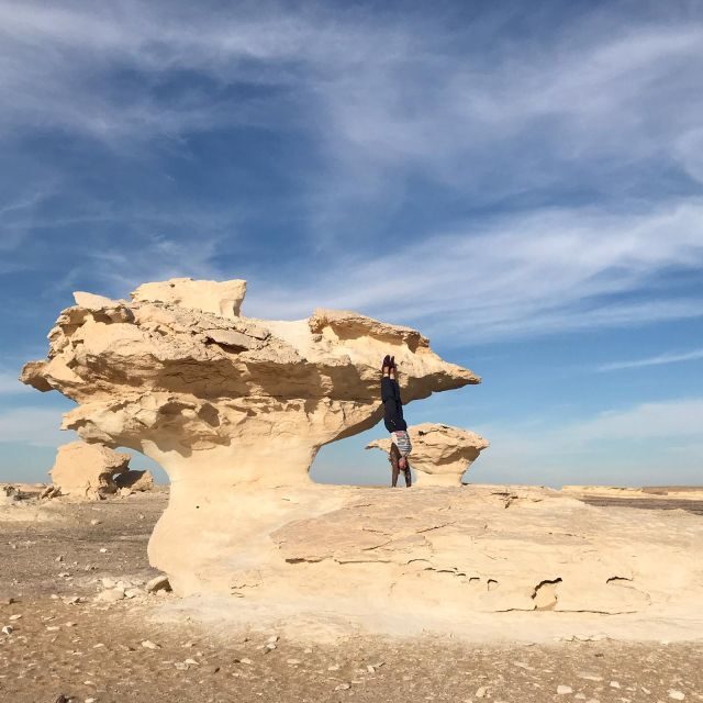 Cairo: 6-Day City and Desert Tour with Meals & Accommodation - Who Should Consider This Tour?  