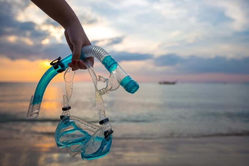 Cairo: Ain Sokhna Snorkeling cruise & optional transfer - The Sum Up