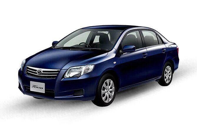 Cairo Airport Pickup with Meeting and Assist - Who Should Book This?