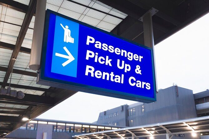 Cairo Airport Private Arrival/Departure Transfer to/hotel - Real-Life Insights from Reviews