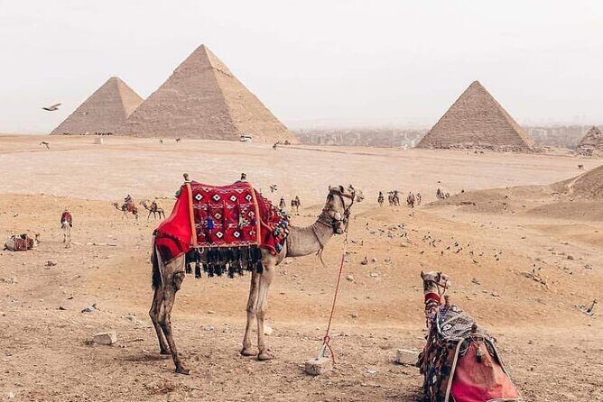 Cairo Best Day Tour To Giza Pyramids & Islamic Cairo in Cairo - Lunch and the Cairo Citadel