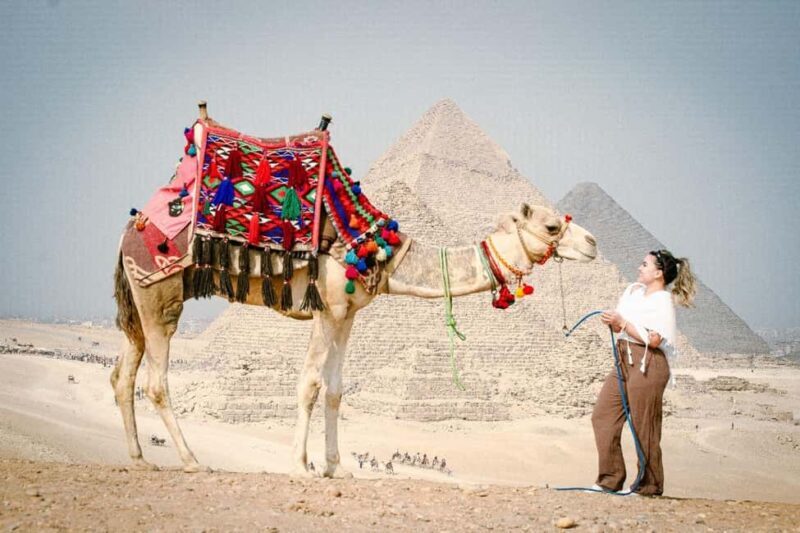 Cairo Day Tour: Pyramids, Museum, Camel Ride & Local Lunch - Who Will Love This Tour?