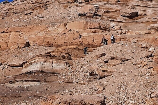 Cairo day tour to El Fayoum - Exploring the Itinerary: What to Expect at Each Stop