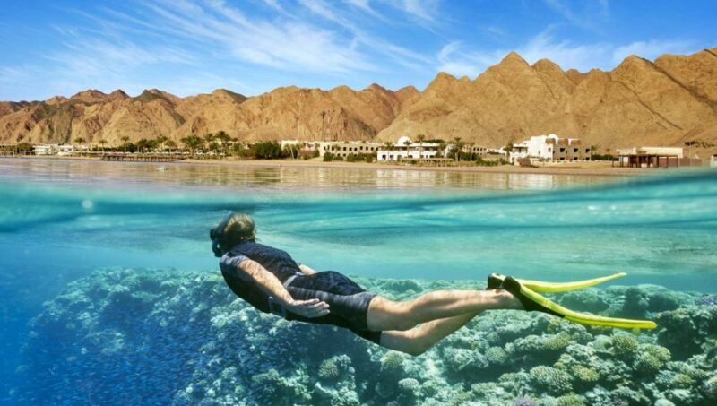 Cairo: Day Tour to the Red Sea with Lunch - Key Points