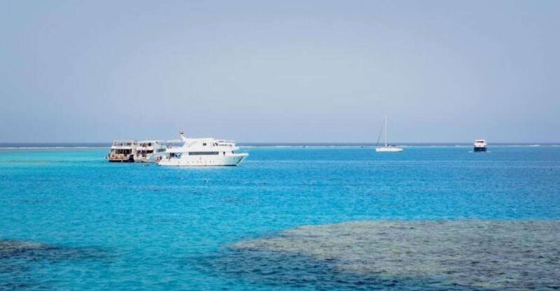 Cairo : Day trip at the red sea at Stella Di Mare - Who Will Love This Experience?