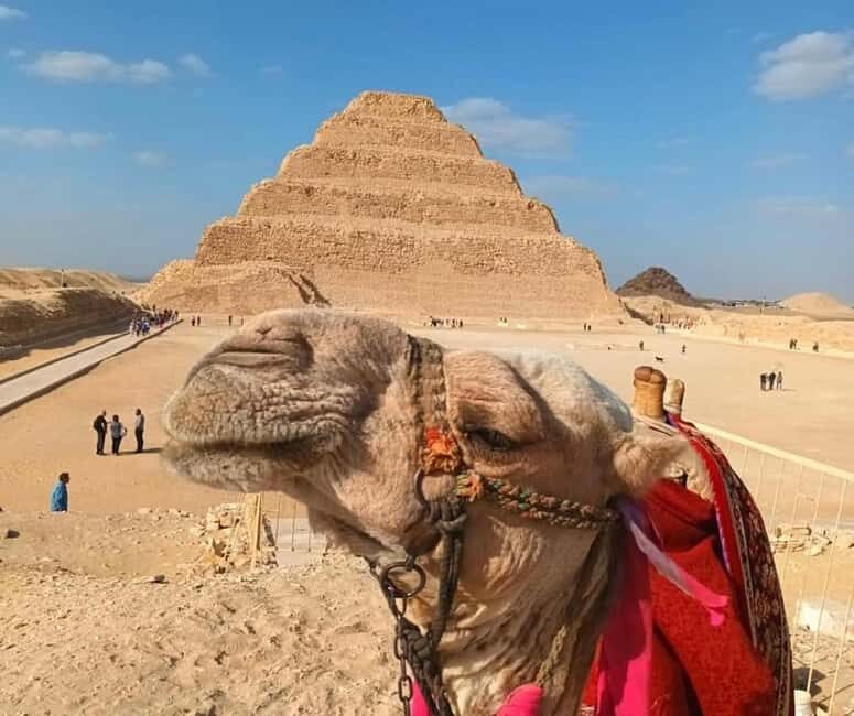Cairo: Djoser, Bent Pyramid & Memphis Day Trip - The Transport and Comfort