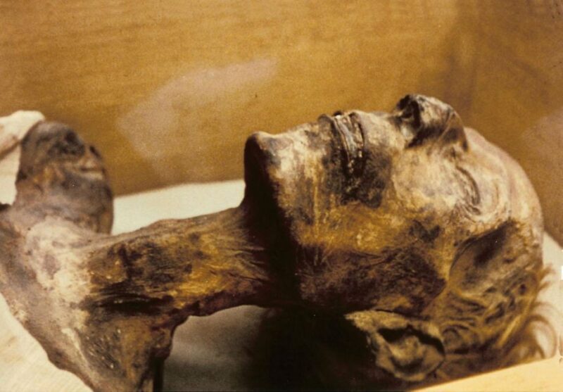 Cairo: Egyptian Museum 4-Hour Private Tour with Transfer - FAQ