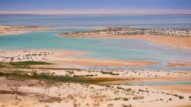 Cairo: Fayoum, Wadi El Rayan, and Wadi al Hitan 4x4 Tour - Key Points