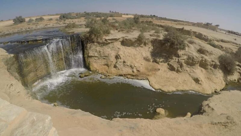 Cairo: Fayoum, Wadi El Rayan, and Wadi al Hitan 4x4 Tour - A Closer Look at the Fayoum 4x4 Tour