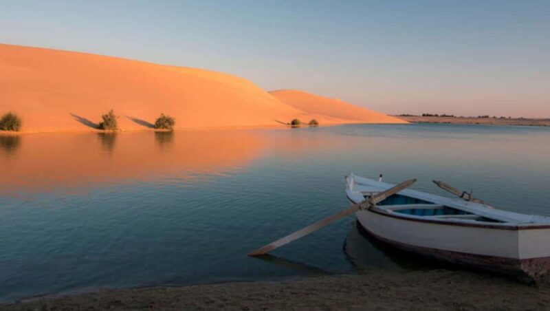 Cairo: Fayoum, Wadi El Rayan, and Wadi al Hitan 4x4 Tour - FAQ