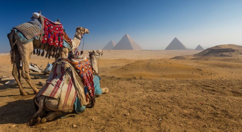 Cairo: Great Pyramids of Giza and Egyptian Museum Tour - Who Is This Tour Best For?