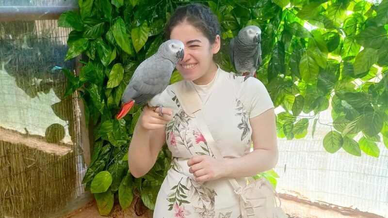 Cairo: Guided Day Trip to Africa Safari Park with Lunch - Animal Encounters and Highlights